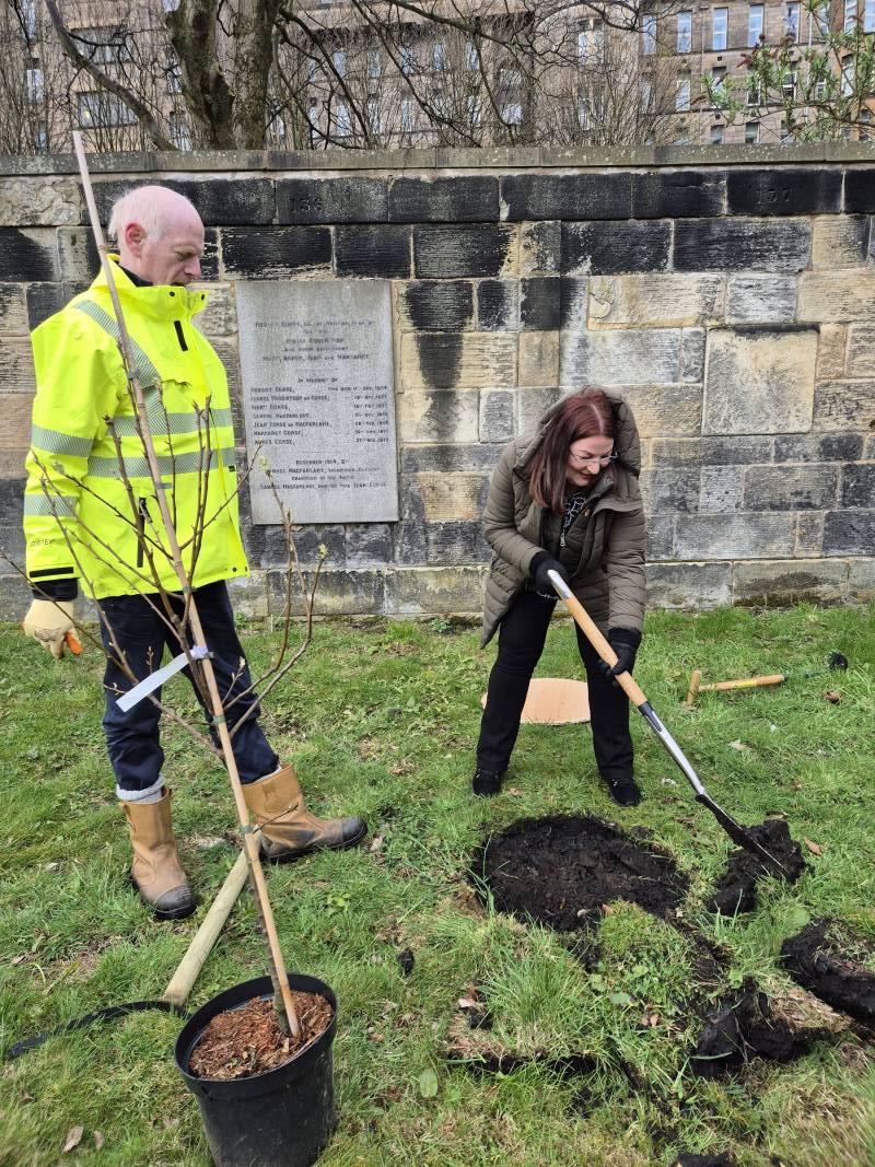 Tree Planting  Main Photo